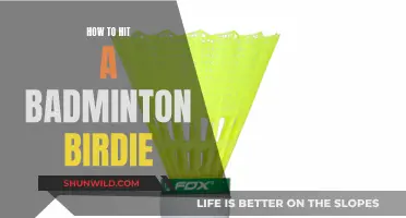 Mastering the Art of Hitting a Badminton Birdie