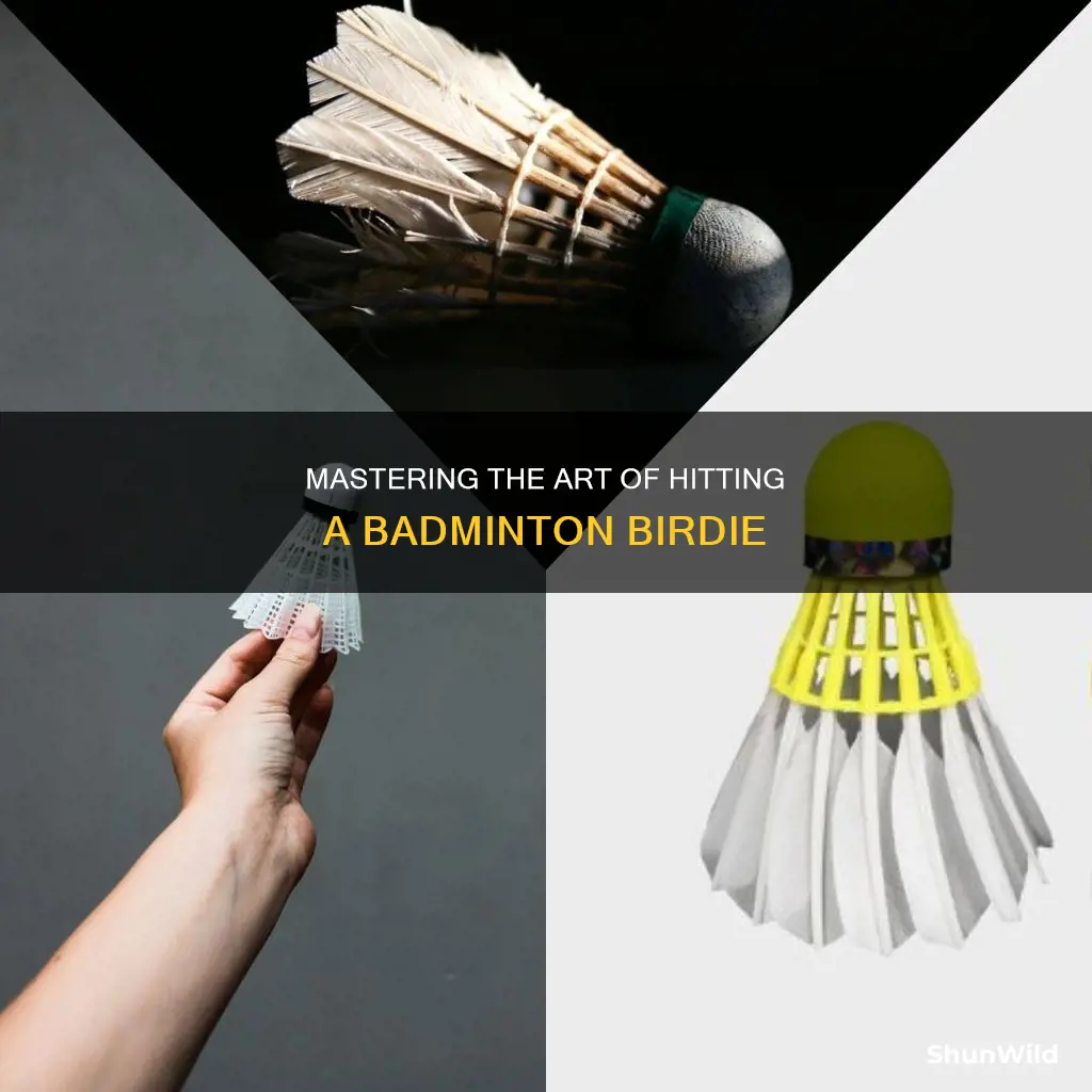 how to hit a badminton birdie