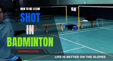 Mastering Low Badminton Shots: Techniques for Success