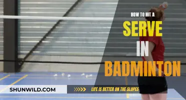 Mastering the Badminton Serve: Techniques for Success