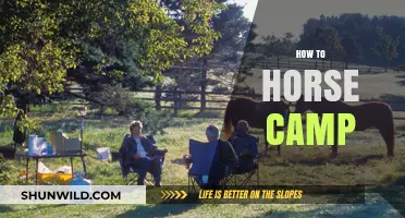Essential Tips for Planning and Enjoying Your Horse Camping Adventure
