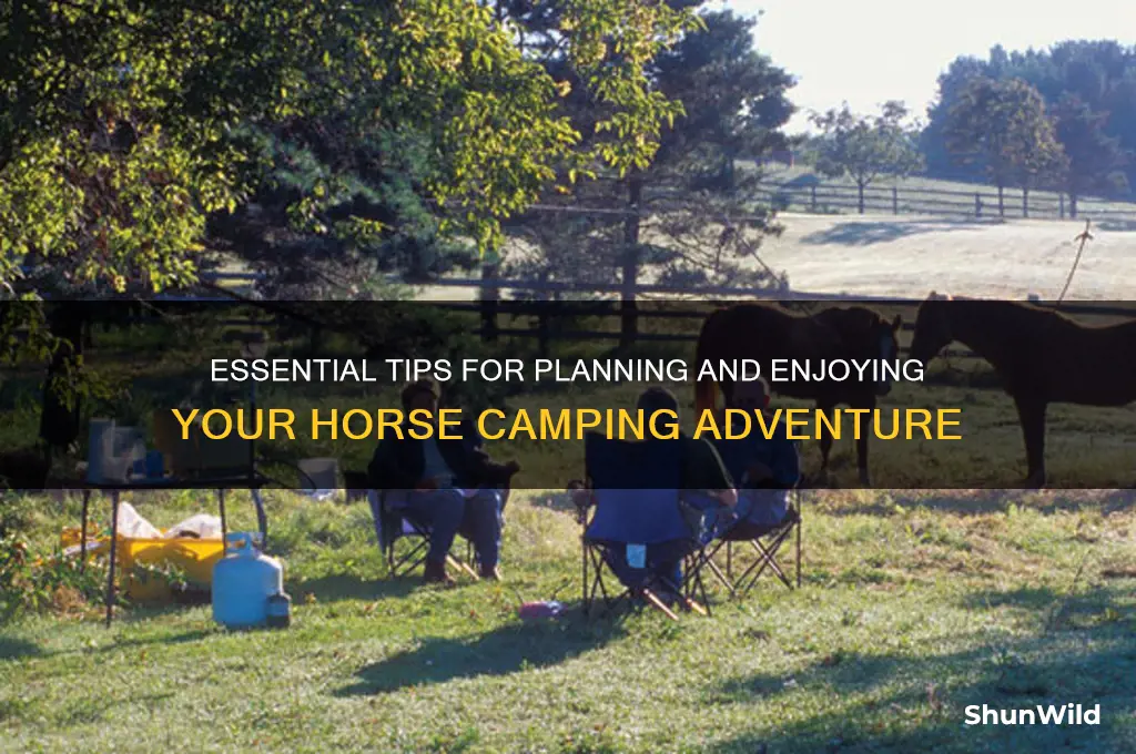 how to horse camp