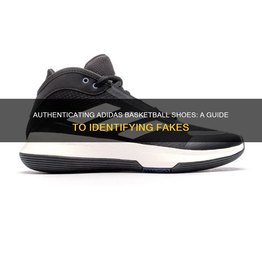 how to identify adidas basketball shoes