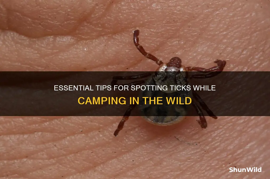 how to identify ticks camping