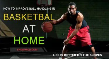 Mastering Basketball Ball Handling: Home Practice Tips
