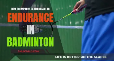 Boosting Badminton Endurance: Strategies for Cardiovascular Success