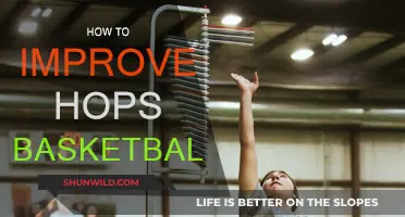 Explosive Hops: Secrets to Jumping Higher in Basketball