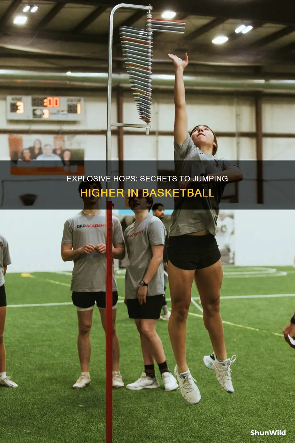 how to improve hops basketball