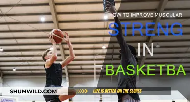 Enhancing Muscular Strength for Basketball Performance
