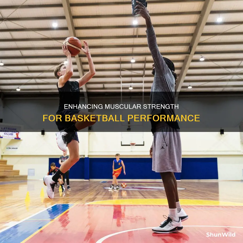 how to improve muscular strength in basketball