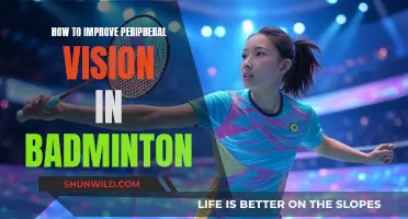Enhancing Badminton Peripheral Vision for Better Performance