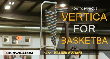 Explosive Leaps: Secrets to Boosting Your Vertical for Basketball