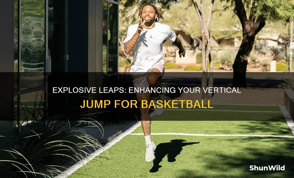how to improve vertical jump in basketball
