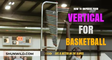 Explosive Leaps: Enhancing Your Vertical for Basketball Performance