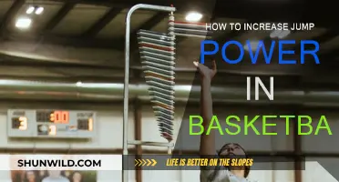 Explosive Leaps: Maximizing Your Vertical Jump for Basketball