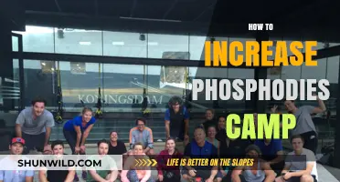 Boosting Phosphodiesterase cAMP Levels: Effective Strategies for Optimal Health