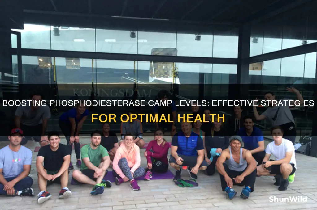 how to increase phosphodiesterase camp
