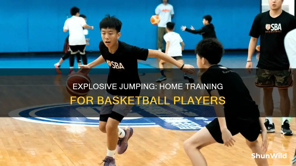 how to increase your vertical jump for basketball at home