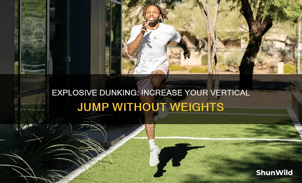 how to increase your vertical jump for basketball without weights