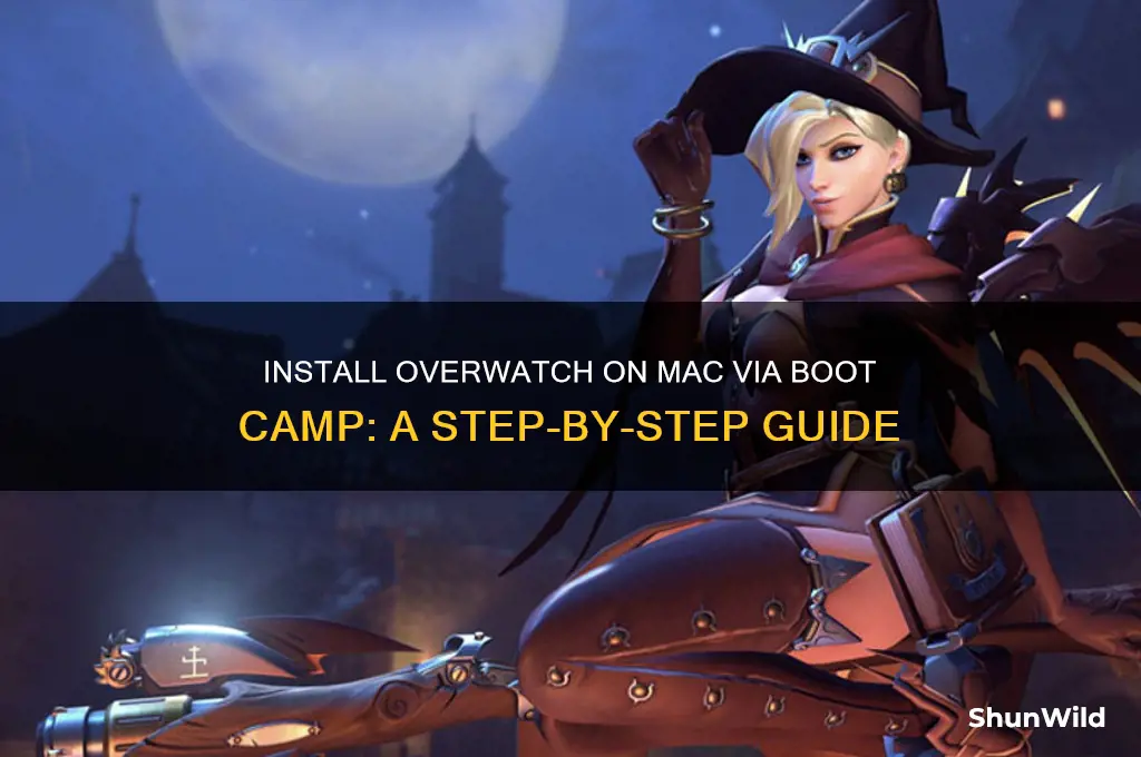 how to install overwatch using boot camp