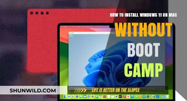 Install Windows 11 on Mac: A Boot Camp-Free Guide