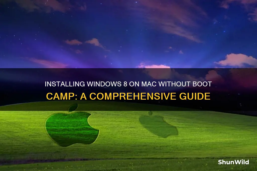 how to install windows 8 without boot camp