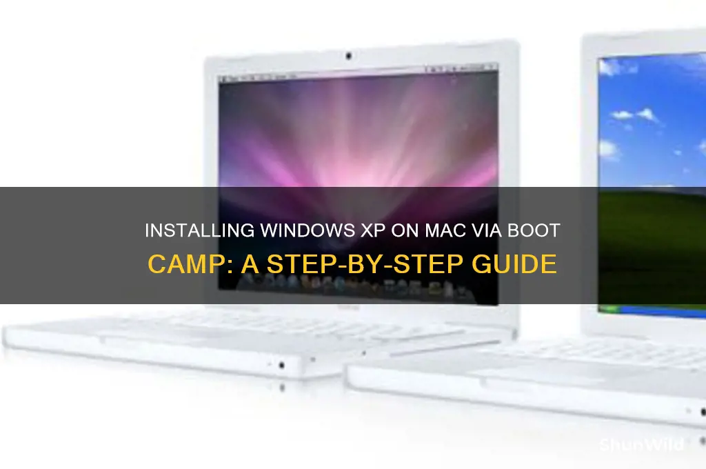 how to install windowsxp boot camp