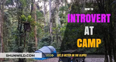 Mastering Solo Adventures: An Introvert's Guide to Thriving at Camp