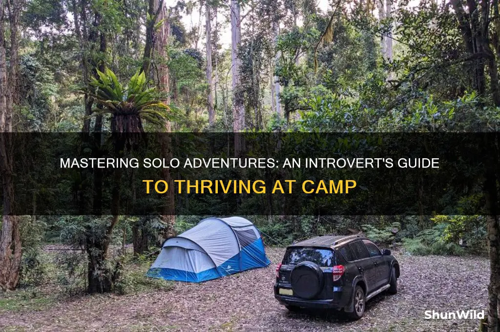 how to introvert at camp