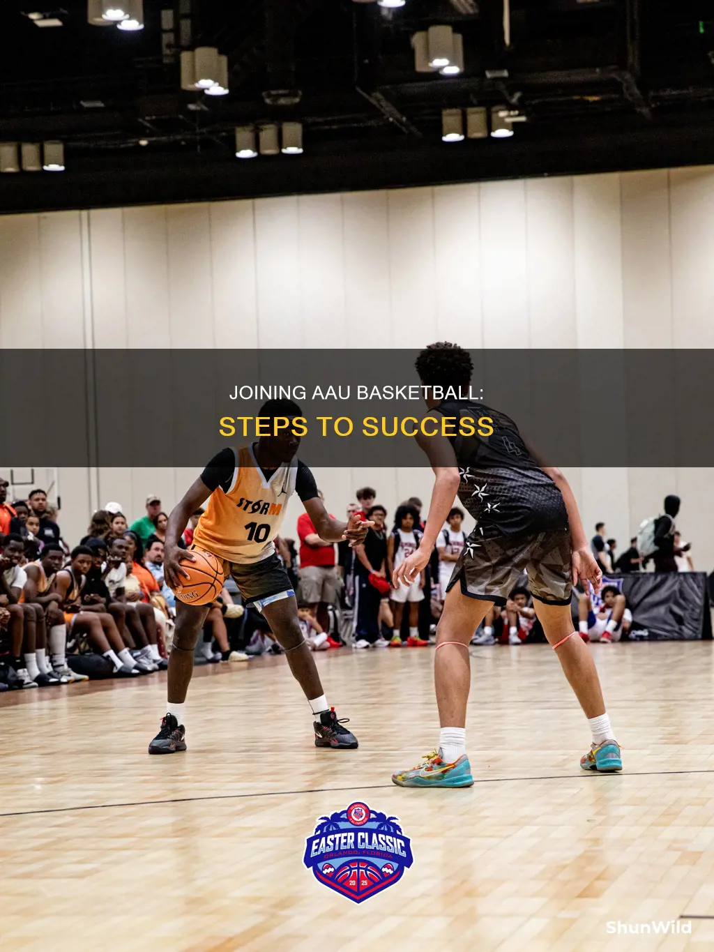 how to join aau basketball