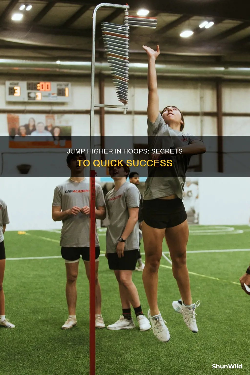 how to jump higher in basketball in 2 weeks