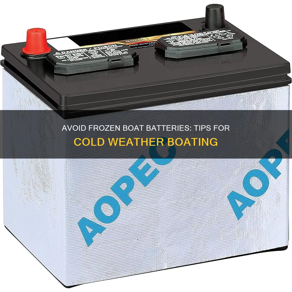 how to kee boat batteries from freezing