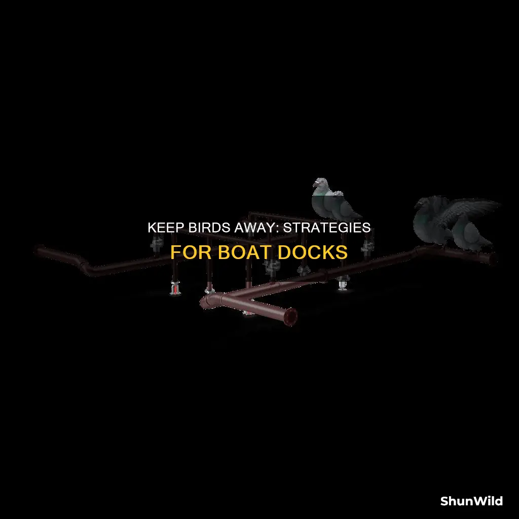 how to keep birds away from boat dock