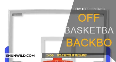 Protect Your Basketball Backboard From Birds