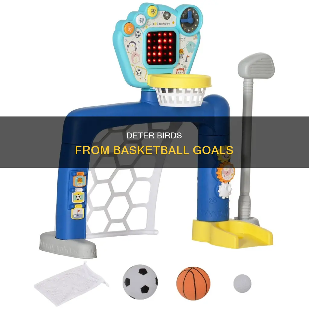 how to keep birds off basketball goal