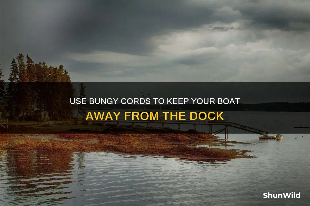 how to keep boat away from dock with bungy cord