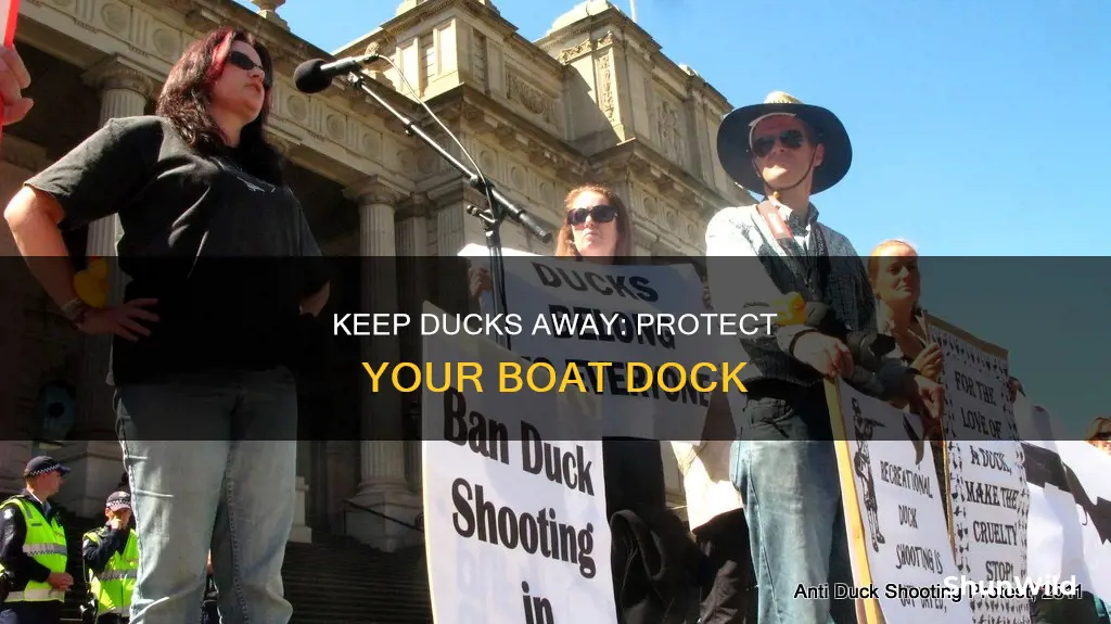 how to keep ducks off boat dock