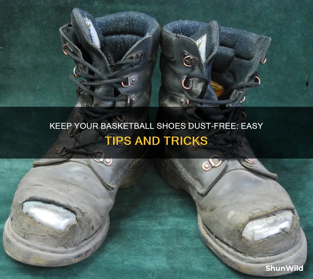how to keep dust off basketball shoes