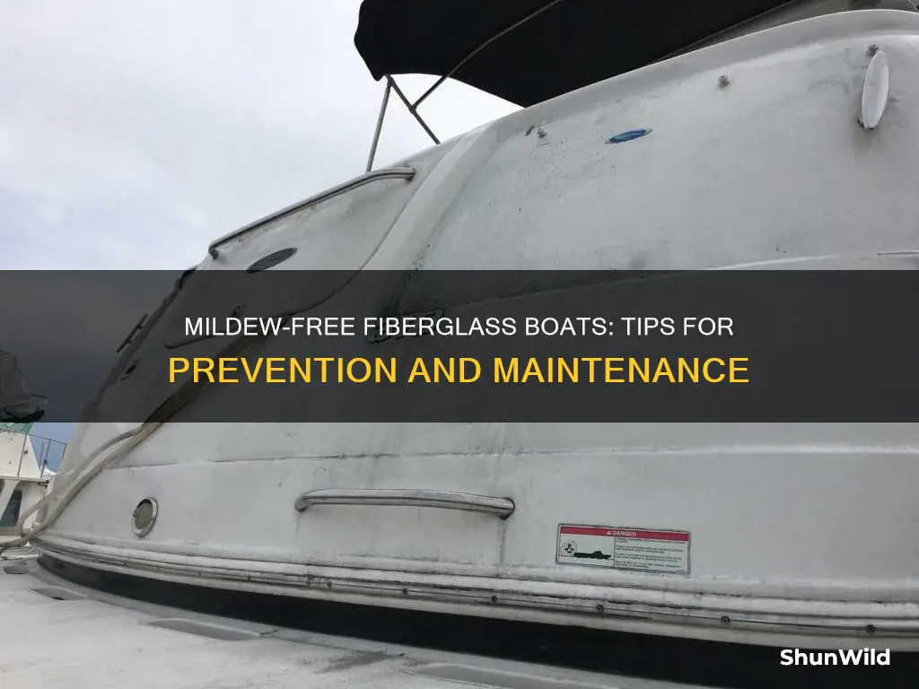 how to keep mildew from growing on fiberglass boat