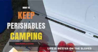 Essential Tips for Keeping Perishables Fresh While Camping