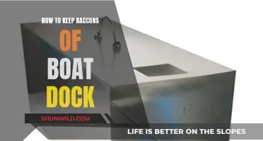 Keep Raccoons Away: Boat Dock Protection Tips