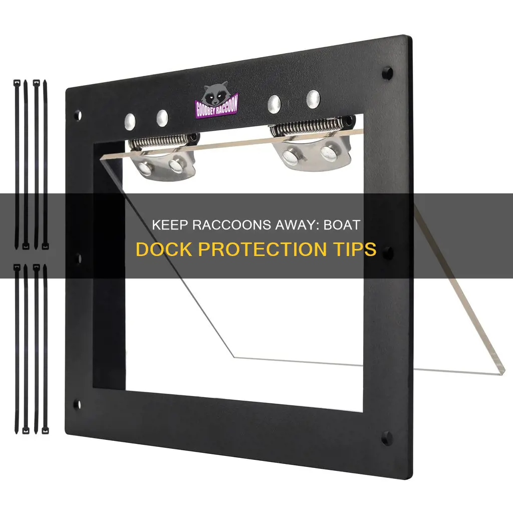how to keep raccons of boat dock