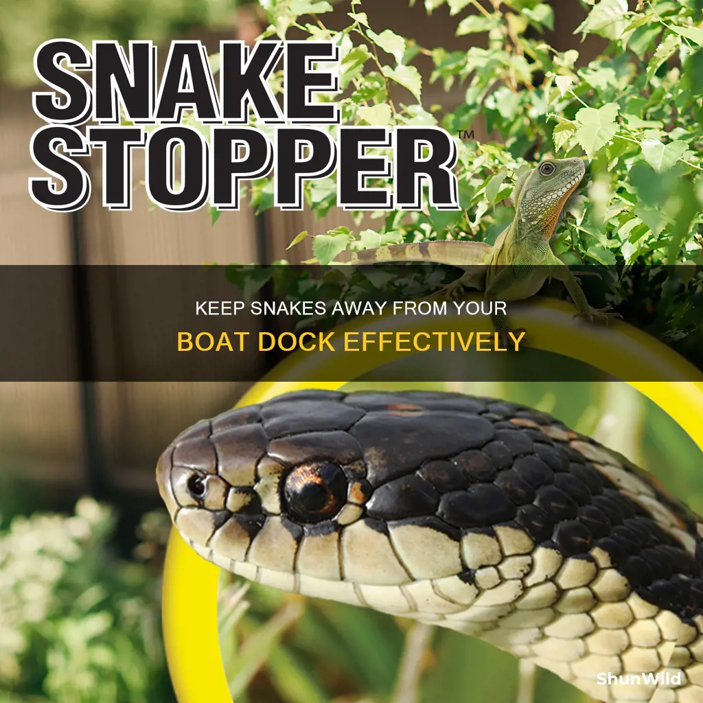 how to keep snakes away from boat dock