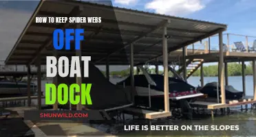 Keep Spider Webs Away From Your Boat Dock