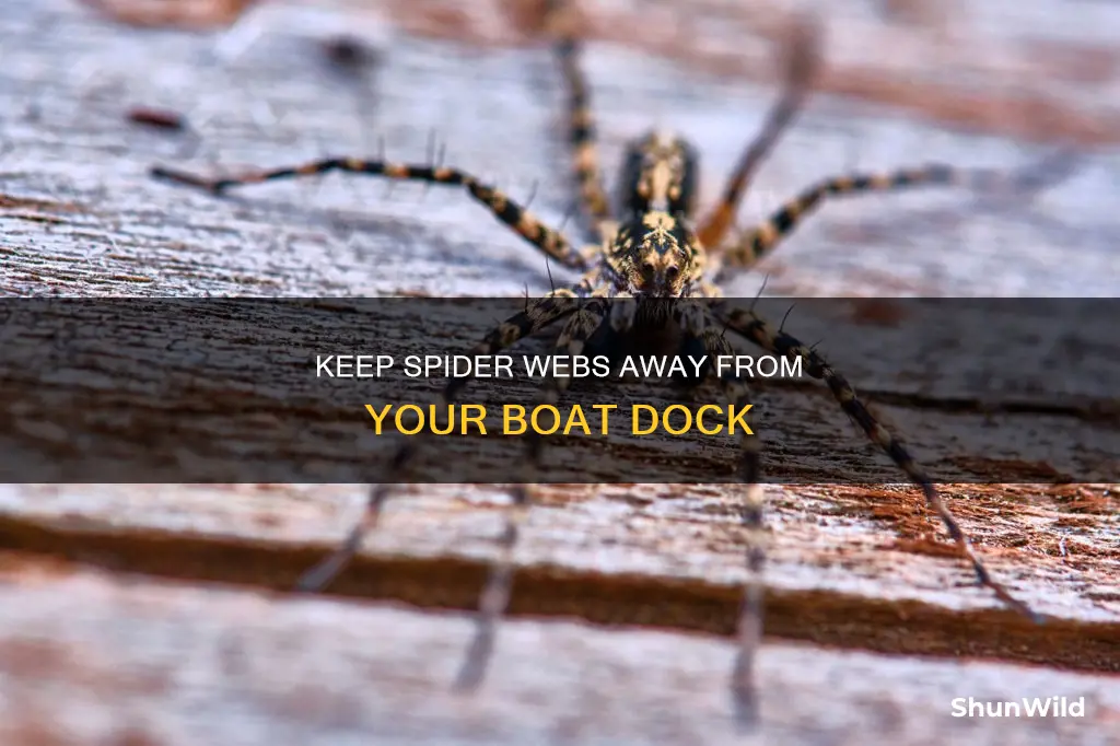 how to keep spider webs off boat dock