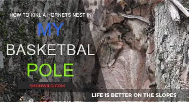 Destroying Hornets' Nest: Basketball Pole Safety