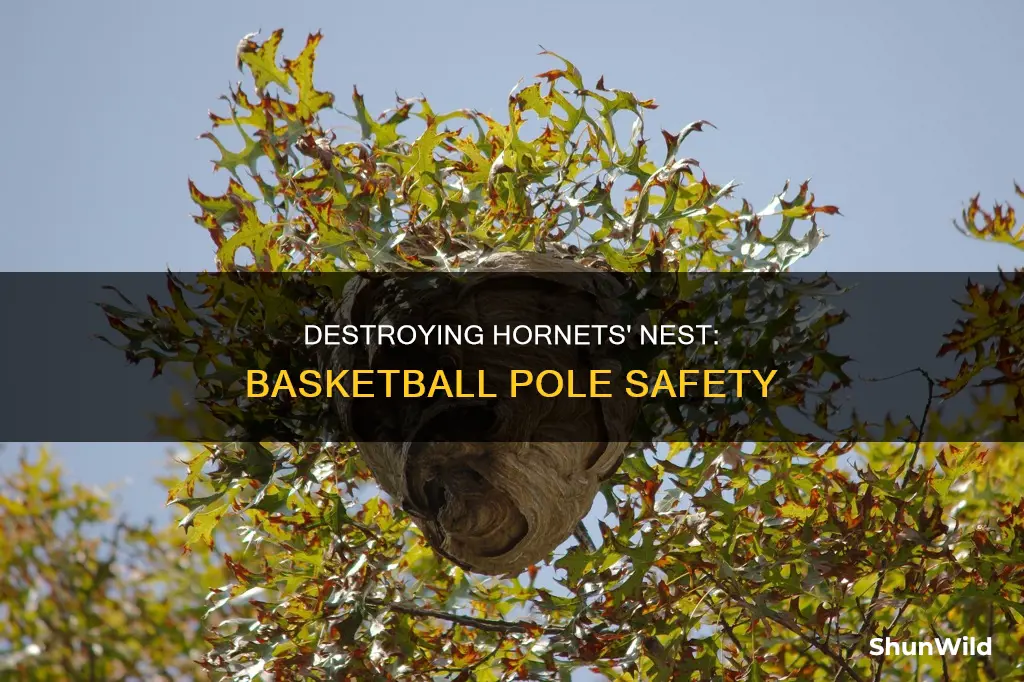 how to kikl a hornets nest in my basketball pole