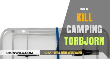 Countering Camping Torbjörn: Effective Strategies to Dominate in Overwatch