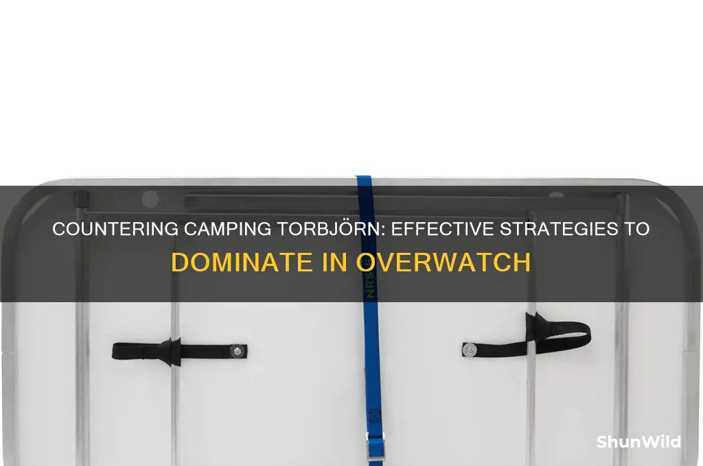 how to kill camping torbjorn