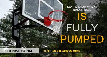 When is Your Basketball Ready for the Court?